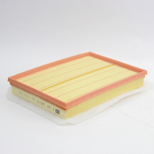 AIR FILTER ELEMENT A20-0093-HOL -1